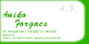 aniko forgacs business card